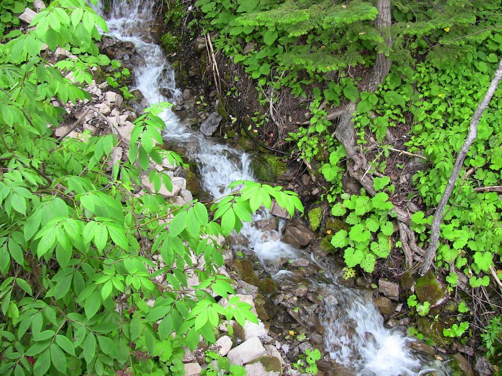 La Source Enchantee Baie-Saint-Paul Zimmer foto